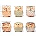 Succulent Pots, Cute Ceramic Owl Planters with Bamboo Saucers & Gardening Tools, 2.5 Inch Small Flower Pot, Set of 6 Pots for Plants - Plants Excluded