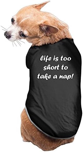 Deifrmglfsa Unisex Life Is Too Short To Take A Nap Dog Dog T-shirt Black S