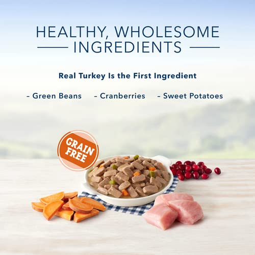 BLUE BUFFALO FAMILY FAVORITE CANNED DOG FOOD, TURKEY DAY FEAST