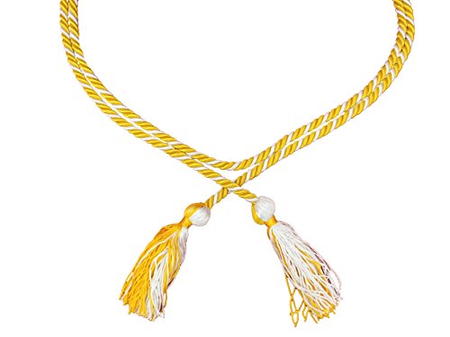 Two-color Braided Honor Graduation Cords (Gold&White-blocked tassel)
