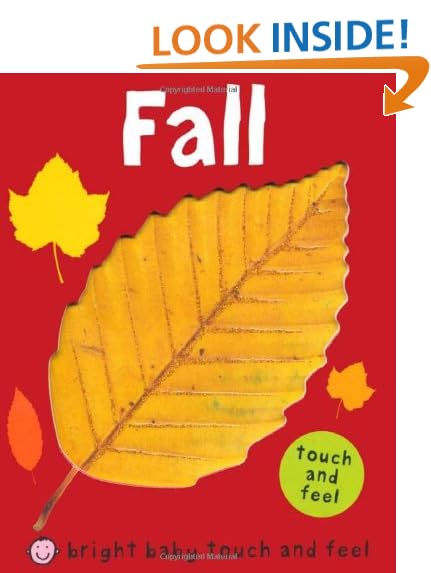 I Love Fall A TouchandFeel Board Book
