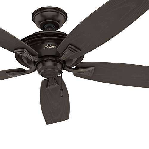Hunter 52 In Outdoor Ceiling Fan In Premier Bronze Wet Rated For