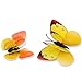 DaGou Mixed of 12PCS 3D Pink Butterfly Wall Stickers Decor Art Decorations¡­ (Yellow)
