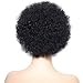 YIROO Afro Kinky Curly Short Human Hair wigs for Black Women Brazilian Virgin Hair Capless Cap Wigs Natural Black Color(6 inch, 1B)