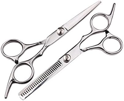 RUIHUI 2 X Professional Hairdressing Set with Case, Barber Salon Hair Cutting Scissors&Thinning Razor Scissors,6 Inch (Silver)