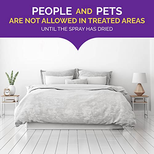 HOT SHOT READY-TO-USE BED BUG KILLER SPRAY, KILLS BED BUGS AND BED BUG EGGS, KILLS FLEAS AND DUST MITES, 32 OUNCE