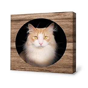 Canvas Wall Art Yellow Cat Canvas Painting Wall Poster Decor for Living Room Framed Home Decorations - 12x12 inches