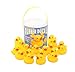 Kangaroo's 18 Piece Rubber Duck Baby Bath Toy in a Bucket
