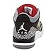 Nike Jordan Men's Air Jordan 12 Retro Basketball Shoe