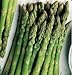 Mary Washington Asparagus Plants Viking Kb-3 Crowns Roots Bare Root 25 Ea
