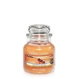Yankee Candle Golden Sands Small Jar Candle, Fresh Scent