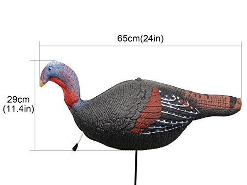 image for TargetEvo 2 Pack Jake & Hen Turkeys Decoy for Hunting with Stakes Carr