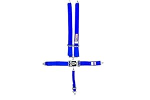 RJS Racing Equipment 1127803 Harness System