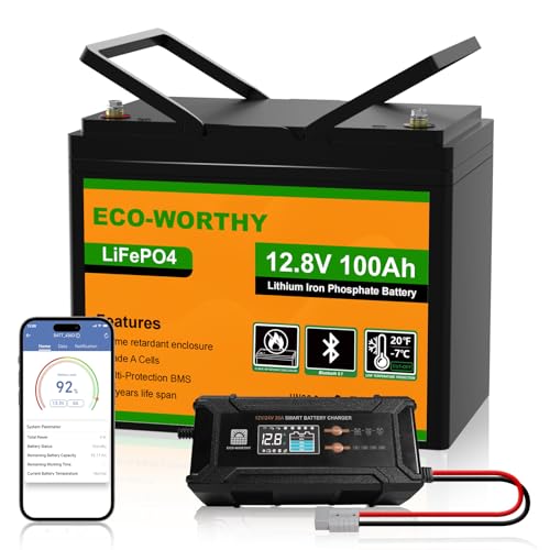 ECO-WORTHY 12V 100Ah LiFePO4 Bluetooth Batterie mit 12/24V 20A Ladegeräte