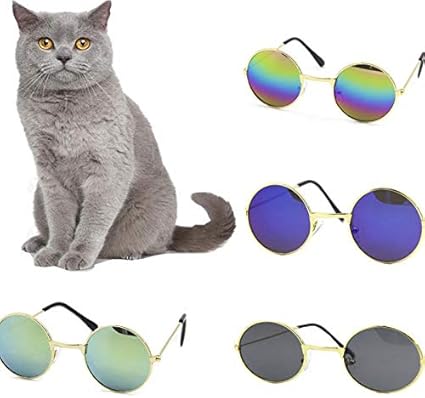 Cycle Crafts 1 Pc Animaux De Compagnie Chat Chien Pet