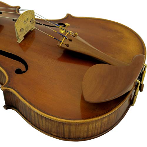 image for D'Luca JS900VA Antique Full Size Viola, Musical Instruments & Accessor
