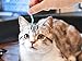 Tick Remover - Tick Removal Twister Tool for Dogs, Cats and Humans