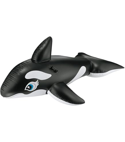 Amazon.com: INTEX Lil