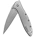 Kershaw 1660 3-Inch Bead-Blasted Leek Folding Pocketknife with Speedsafe