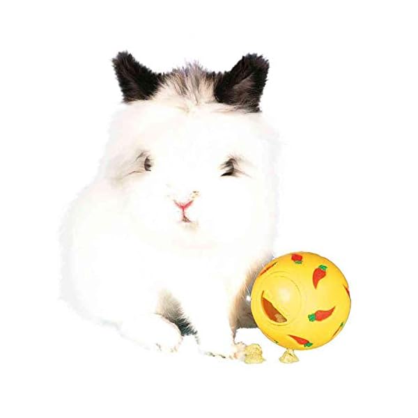 Trixie-Plastic-Snack-Ball-7-cm-Assorted-Colors-Blue-Yellow Trixie Guinea Pig Plastic Snack Ball, 7 cm, Assorted Colors ( Blue/ Yellow )