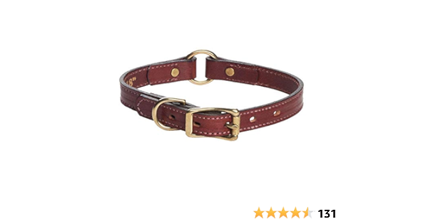talking dog collar amazon