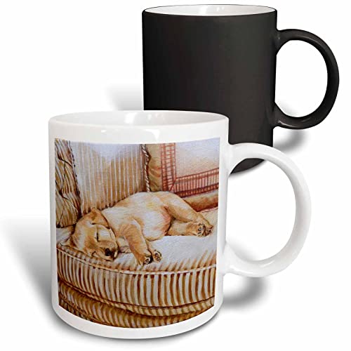 3dRose mug_44570_3 Little Yellow Lab Puppy Sleeping in The Sun on a Golden Stri…