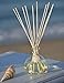 Manu Home Ocean Oil Reed Diffuser Set ~ 5oz of Fresh Diffusing Fragrance ~ Beautiful Ocean Décor & Ocean Breeze Scented Diffuser ~ The Scent is Fresh ~ Beach Decor Perfect for Home,Office