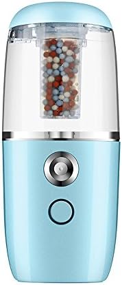 Mini Facial Mist Sprayer,ETTG Portable Humidifier Facial Streamer Negative ion Sprayer with USB Charging(Blue)