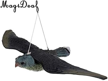 Amazon Com Zamtac Outdoor Shooting Hunting Target Decoy Garden