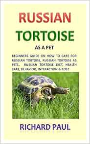 russian tortoise food guide