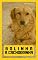 Livro Bolinha: a cachorrinha