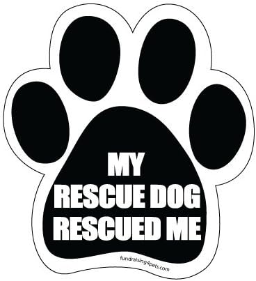 my rescue dog rescued me