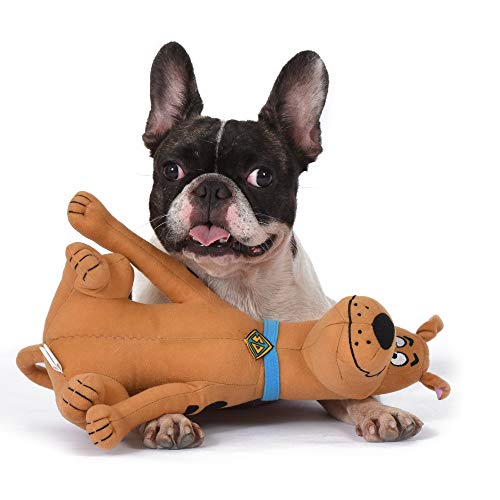 ScoobyDoo Warner Brothers Big Head Dog Toy 12 Inch Plush Dog Toy for