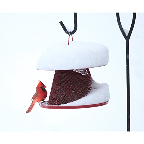 4 Perky+Pet+C00322+Cardinal+Bird+Feeder