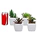 Set of 4 Small Green Plastic Artificial Succulent Plants in Mini Modern White Ceramic Planter Pots
