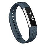 AK 310  Fitbit Alta Bands, Replacement with Metal Clasp, Small, Slate