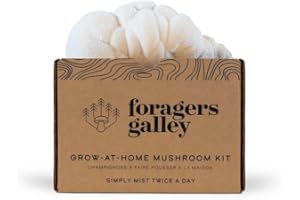 Lion's Mane Mushroom Growing Kit - 6lbs - Mushroom Grow Kit, Indoor Growing, Easy to Use, Grow Lions Mane at Home