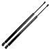 ECCPP Lift Supports Rear Liftgate Tailgate Struts Gas Springs Shocks for for Acura MDX 2007-2013 Compatible with 6513 Strut Set of 2