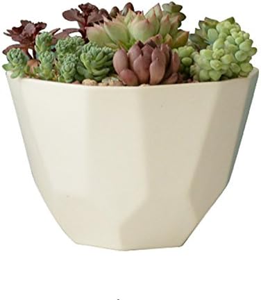 Geometric Ceramic Flower Succulent Planter - Tchan 4.5 Inches Minimalist Cactus Succulent Plant Pots (White)