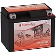 Exide 4L-BS Motorcycle Battery (Replacement)