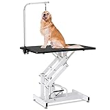 Afqxf Hydraulic Dog Grooming Table Heavy Duty for