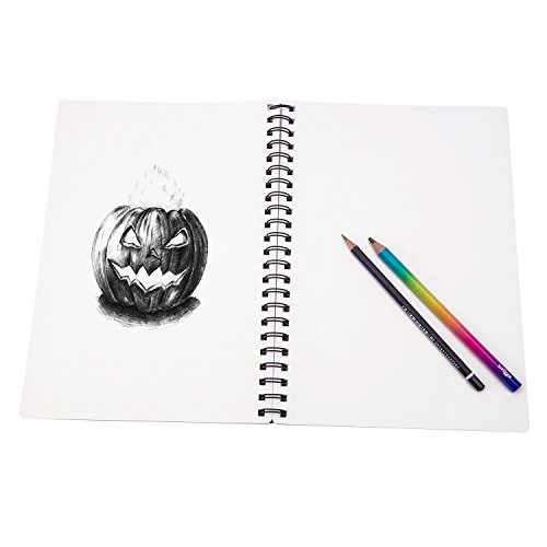 Spiral Bound Art Paper Sketchbook - Field Bleedproof Drawing Pad,11 in. x 8 in. 60 Sheets by Bianyo