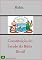 Livro Constituição do Estado da Bahia - Brasil (Leis do Brasil Livro 1)