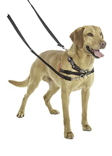 Halti Training Lead for Dogs - Image 5
