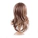 Long Heat Resistant Synthetic Wig with Bang 2 Tone Japanese Kanekalon Fiber 20 Styles Full Wig Full Head for Women Girls Lady,15'' / 15 inch,Light brown blonde mix