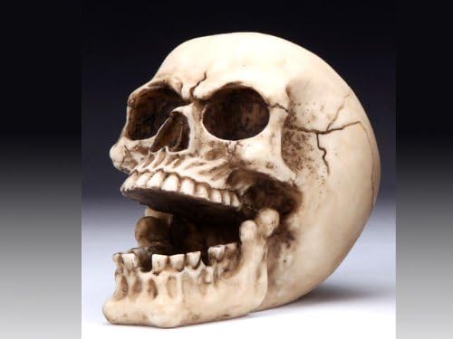 New! Skull Ashtray Skeleton Cigar Cigarette Ash