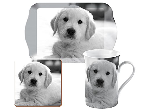 regalos personalizados del labrador