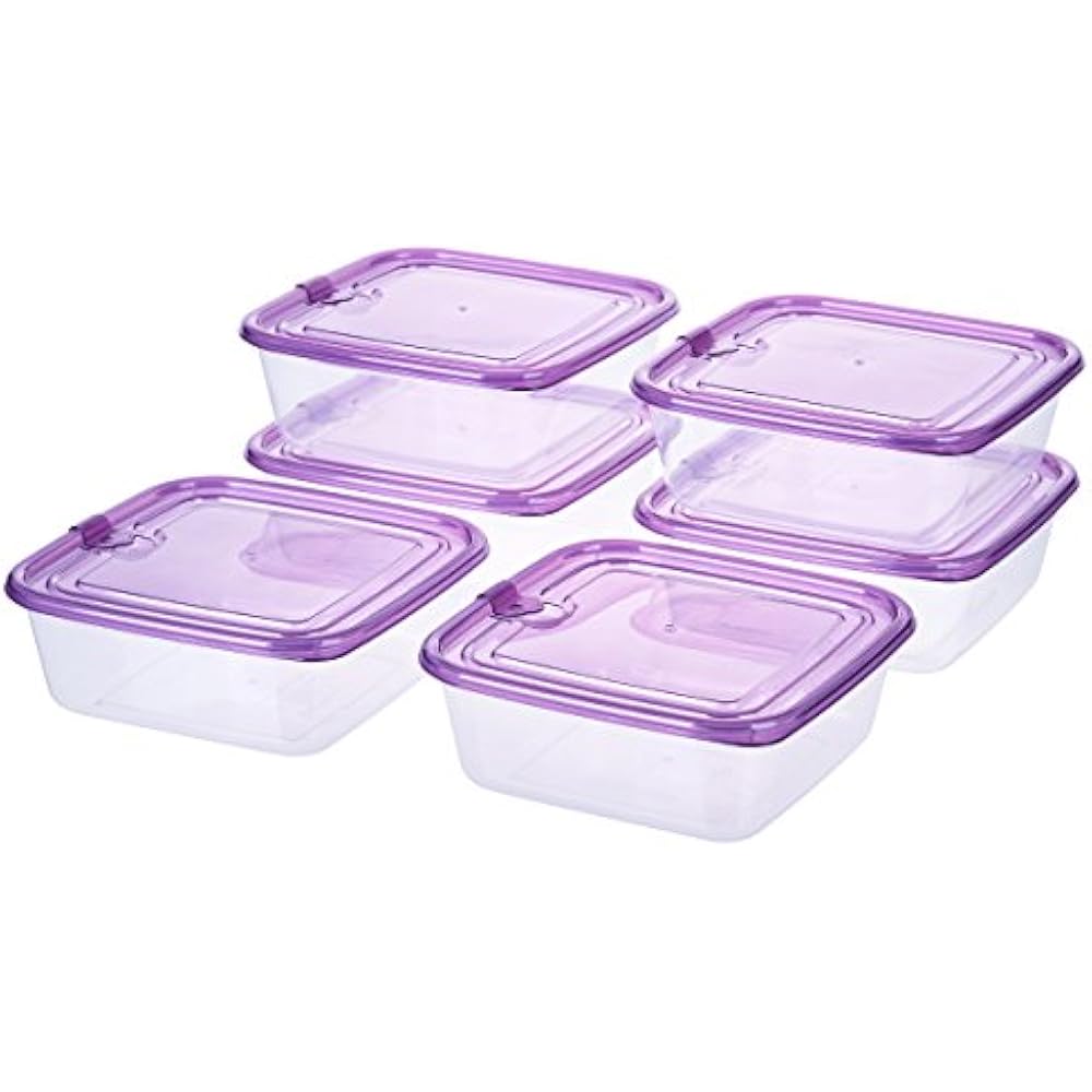 3Cup Square Sandwich Food Storage Containers With Airtight Plastic
