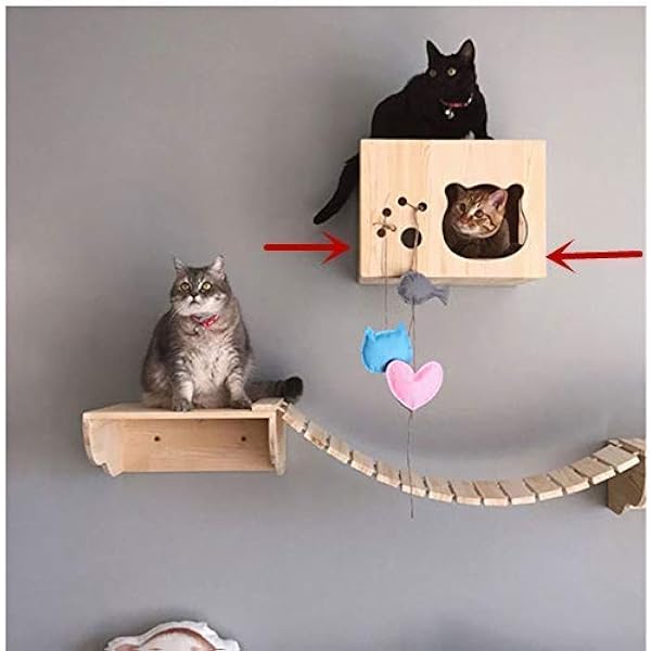 wall cat hammock