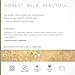 Annmarie Skin Care - Sun Love Natural Sunscreen Broad Spectrum SPF20 (2oz)
